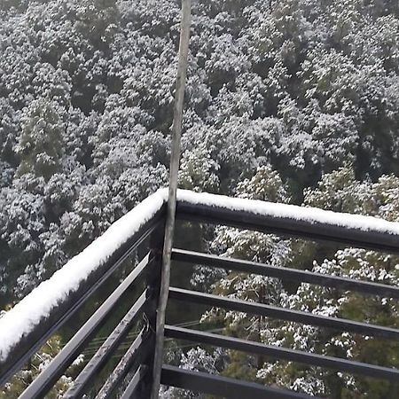 Solitude Inn Bnb 西姆拉 外观 照片