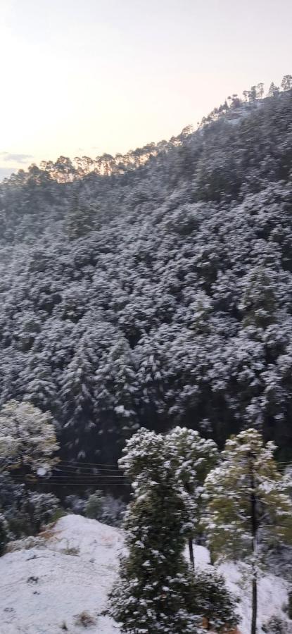 Solitude Inn Bnb 西姆拉 外观 照片